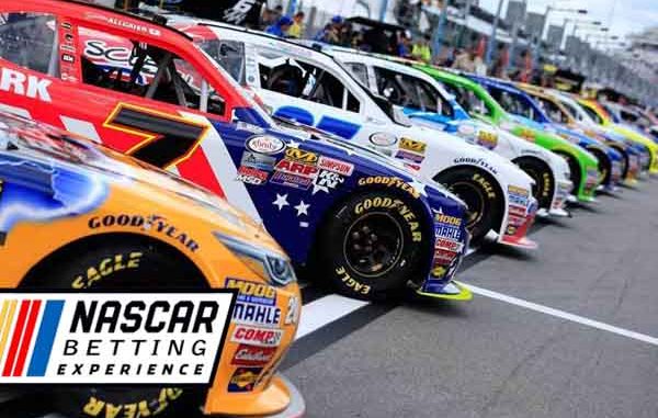 Nascar cars ready for the race