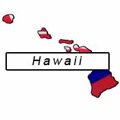 Hawaii flag and outline