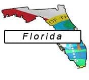 Florida flag and outline