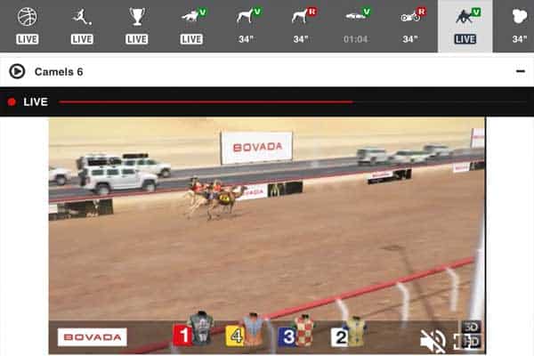 Online camel race