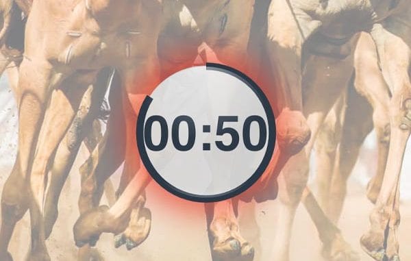 camel-racing-wait Virtual sports camel racing