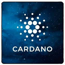 Cardano 18+ betting