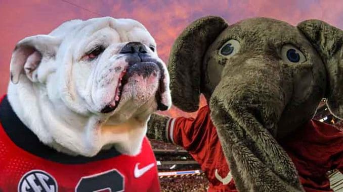 mascots for the Georgia Buldogs and Alabama Crimson Tide