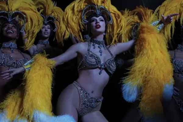 album cover for Taylor Swift Life of a Showgirl
