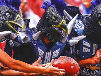 UFL Battlehawk fans at the game