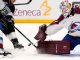 Avalanche goalie